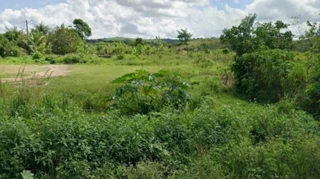 Imóvel 2872940 [''] - ['Paudalho,'] [''] - ['Paudalho']/['PE'] - 1