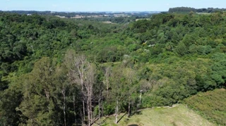 Imóvel 2857640 [''] - ['Metade do lote rural número cinquenta e sete (57), da Linha Três (03), da Secção Paiol Grande'] ['Paiol Grande'] - ['Erechim']/['RS'] - 1