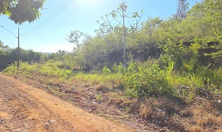 Imóvel 2952440 [''] - ['LOTE URBANO Nº. 07 DA QUADRA Nº 12 DO LOTEAMENTO ESTRELA DOURADA'] [''] - ['Nova Prata Do Iguaçu']/['PR'] - 1
