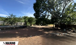 Imóvel 2673040 [''] - ['Sítio Mogno, Lote 338, Distrito União do Norte, PA São José União, Travessão 03, Peixoto de Azevedo, MT'] [''] - ['Peixoto de Azevedo']/['MT'] - 1