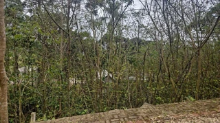 Imóvel 2504140 [''] - ['Rua Bosque das Coníferas, Linha Imperial'] [''] - ['Nova Petrópolis']/['RS'] - 1