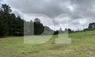 Imóvel 2209640 [''] - ['Rodovia Régis Bittencourt, S/N, Parque Santa Amélia'] ['Parque Santa Amelia'] - ['Itapecerica Da Serra']/['SP'] - 1