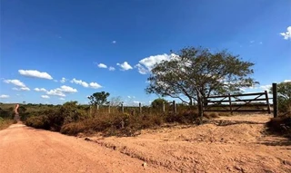 Imóvel 2596640 [''] - ['Nao informado Nao informado Lote 107 da Gleba Azul B-2, Fazenda Siria'] [''] - ['Rondon Do Pará']/['PA'] - 1