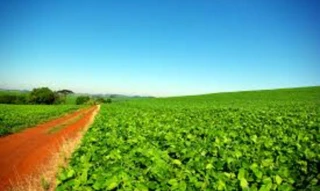 Imóvel 2717240 [''] - ['Fazenda São Jacó e na Linha Campinas'] [''] - ['Mirim Doce']/['SC'] - 1