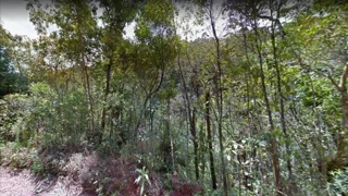 Imóvel 2562441 [''] - ['R. Virginia Ribeiro, Posse dos Heckerts - Mury'] ['Mury'] - ['Nova Friburgo']/['RJ'] - 1