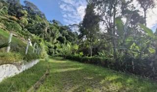 Imóvel 2588741 [''] - ['Rodovia Presidente Dutra, KM 227'] ['Caiçara'] - ['Piraí']/['RJ'] - 1