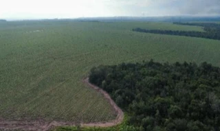 Imóvel 2720141 [''] - ['Fazenda Babilônia, s/nº - Zona Rural - Mineiros / GO'] [''] - ['Mineiros']/['GO'] - 1