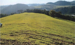 Imóvel 3000141 [''] - ['interior'] [''] - ['Serafina Corrêa']/['RS'] - 1