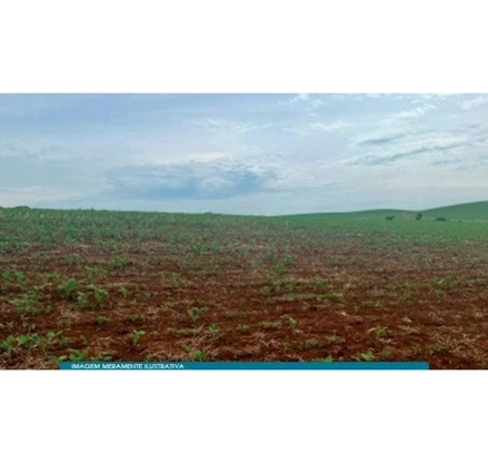 Terreno em Zortéa, Invernada Do Capão Redondo, SC /Zortéa, SC. Área: 617500m2