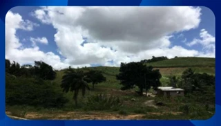 Imóvel 2588041 [''] - [', sn - Salgado'] [''] - ['Ipojuca']/['PE'] - 1