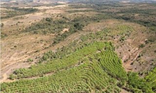Imóvel 2656641 [''] - ['FAZENDA SÃO FELIX- PRÓXIMO À COMUNIDADE DO CANASTRÃO'] [''] - ['São Gonçalo do Abaeté']/['MG'] - 1