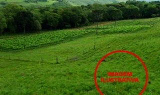 Imóvel 2462241 [''] - ['Ribeirão Bracatinga'] [''] - ['Taió']/['SC'] - 1