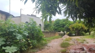 Imóvel 2634341 [''] - [', SN'] [''] - ['Aliança']/['PE'] - 1