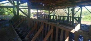 Imóvel 2942341 [''] - ['Linha Nova, no interior do município de Pinheirinho do Vale'] [''] - ['Pinheirinho Do Vale']/['RS'] - 1