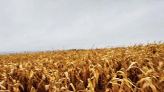 Imóvel 2696441 [''] - ['Santa Cruz do Rio Pardo, SP'] [''] - ['Santa Cruz Do Rio Pardo']/['SP'] - 1