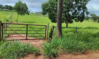 Imóvel 2246341 [''] - ['Fazenda Bebedouro II e Vereda, município de São João da Ponte - MG/MG'] [''] - ['São João da Ponte']/['MG'] - 1
