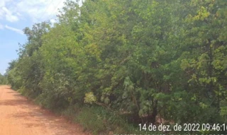 Imóvel 2645841 ['IDR186820'] - ['Avenida Beira Rio, S/N, Lote n° 21 da Zona 03, Loteamento Tarumã, Cuiabá, MT, 78028-420'] [''] - ['Cuiabá']/['MT'] - 1