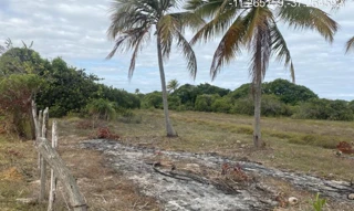 Imóvel 2275441 ['IDR184650'] - ["Estrada do Abais, s/n, Quadra 104, Lote 32, Loteamento Vila Rica do Abais, Itaporanga D'Ajuda, SE, 49120-000"] [''] - ["Itaporanga D'Ajuda"]/['SE'] - 1