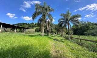 Imóvel 2897641 [''] - ['Parte do lote rural nº 10, da Fazenda Saudades, localizado na Linha Stefanes'] [''] - ['Santiago Do Sul']/['SC'] - 1