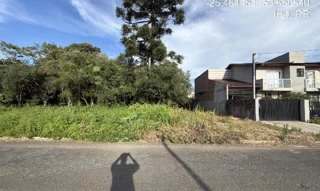 Imóvel 2656041 ['1555510769610'] - ['RUA PACIFICO BORGES,N. 9, DER - CEP: 84502-401, IRATI - PARANA'] [''] - ['Irati']/['PR'] - 1