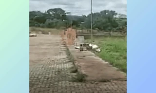 Imóvel 2889141 [''] - ['Quadra SMPW Quadra 22 Conjunto 3, Park Way, Brasília, DF, 71745-203'] [''] - ['Brasília']/['DF'] - 1