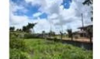 Imóvel 2585941 [''] - ['Parte do seringal Fortaleza, Platô do Piquiá'] ['Platô do Piquiá'] - ['Boca Do Acre']/['AM'] - 1