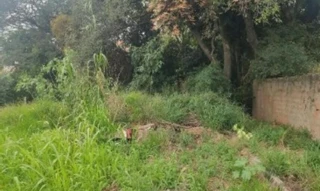 Imóvel 2606441 [''] - ['Rua Antônio Santoni, S/n - Lote 12 da Quadra 14 - Jardim Fogaça - Itapetininga / SP'] ['Jardim Fogaca'] - ['Itapetininga']/['SP'] - 1