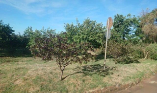 Imóvel 2655341 [''] - ['Rua 15'] ['Portal de Versalhes II'] - ['Londrina']/['PR'] - 1