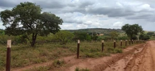 Imóvel 2676441 [''] - ['RUA ERNESTINO MACHADO DE ALMEIDA- LOTE 15, QUADRA 01'] [''] - ['São Gonçalo do Abaeté']/['MG'] - 1