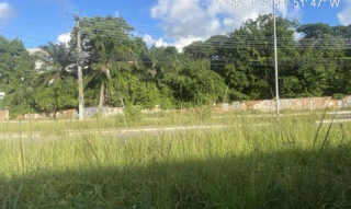 Imóvel 2625242 ['IDR186577'] - ['Rua Sebastião Bernardo de Lima, s/n, Loteamento Riacho da Prata, Maranguape II, Paulista, PE, 53422-480'] ['Maranguape II'] - ['Paulista']/['PE'] - 1