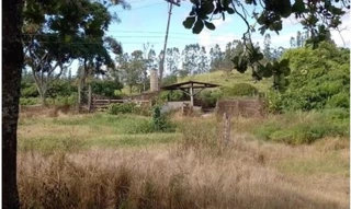 Imóvel 2994642 [''] - ['imóvel rural denominado "FAZENDA ROSEIRAS'] [''] - ['Mococa']/['SP'] - 1