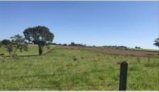 Imóvel 2723042 [''] - ['SP-425 , próximo ao Trevo, Faz. Boa Vista dos Castilhos, Estância Ramos, Zona Rural, José Bonifácio, SP, 15200000'] [''] - ['José Bonifácio']/['SP'] - 1