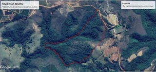 Imóvel 3016942 [''] - ['Fazenda Muro'] [''] - ['Campos Altos']/['MG'] - 1