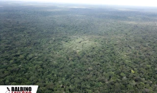 Imóvel 2617542 [''] - [', Porto dos Gaúchos, MT'] [''] - ['Porto Dos Gaúchos']/['MT'] - 1
