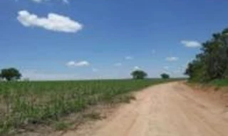 Imóvel 2978742 [''] - ['Fazenda Santa Luzia, no Distrito de Cana Brava, localiza há 54 Km de João Pinheiro'] [''] - ['João Pinheiro']/['MG'] - 1
