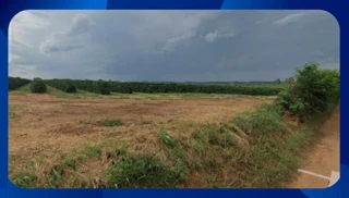 Imóvel 2536742 [''] - ['Fazenda Cachoeira dos Macacos, Cachoeira da Prata'] [''] - ['Cachoeira Da Prata']/['MG'] - 1
