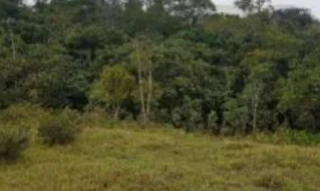 Imóvel 2642842 [''] - ['Rodova Pedro Eroles, Gleba I (Rodova Mog/Dutra)'] [''] - ['Itaquaquecetuba']/['SP'] - 1