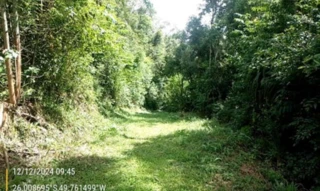 Imóvel 3019042 [''] - ['estrada Geral, no lugar Pau de Casca, s/n, em Campo do Tenente (PR)/'] [''] - ['Campo Do Tenente']/['PR'] - 1
