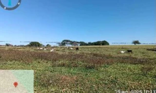 Imóvel 2870942 [''] - ['Estrada nº 01, lote nº 095 e lote nº 098'] [''] - ["Palmeira D'Oeste"]/['SP'] - 1