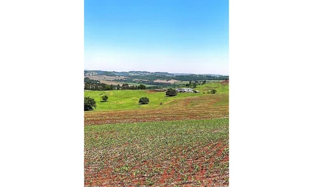 Terreno em Marialva, , Gleba Ribeirão Aquidaban, PR. Área: 2361920m2