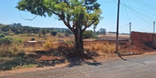 Imóvel 2598642 [''] - ['Rua Volta Redonda,'] [''] - ['Montividiu']/['GO'] - 1