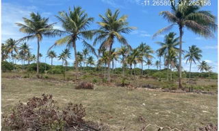 Imóvel 2955442 [''] - ["Rodovia Camilo Calazans de Magalhães (Estrada do Abais), s/n - Quadra 72, Lote 24 - Loteamento Vila Rica do Abais - Itaporanga d'Ajuda / SE"] [''] - ["Itaporanga D'Ajuda"]/['SE'] - 1