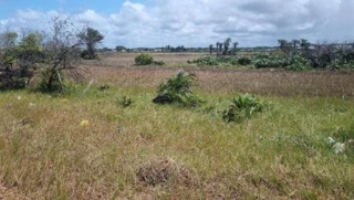 Imóvel 2994442 [''] - ["Rua Hz, s/n, Vila Rica do Abais, Itaporanga D'Ajuda, SE"] [''] - ["Itaporanga D'Ajuda"]/['SE'] - 1
