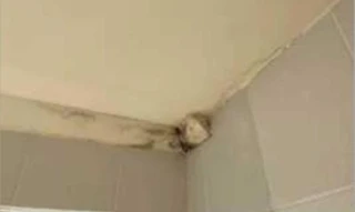 Imóvel 2650343 [''] - ['RESIDENCIAL CEDROS, APARTAMENTO 304, BLOCO 25'] [''] - ['outras']/['na'] - 1