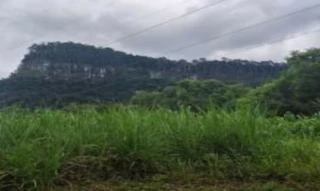 Imóvel 2690543 [''] - ['Avenida Rui Barbosa, 79 - LOTE 12 QUADRA 56 - Centro - Canela / RS'] [''] - ['Canela']/['RS'] - 1