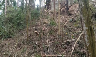 Imóvel 3014143 [''] - ['região tranquila e agradável de Mairiporã'] [''] - ['Mairiporã']/['SP'] - 1