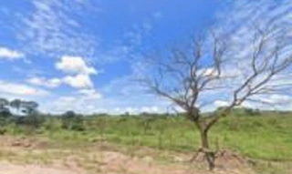 Imóvel 2865043 [''] - ['Linha 05, Castro Alves, Setor Ipocyssara, Projeto Fundiário Corumbiara'] [''] - ['Cacoal']/['RO'] - 1