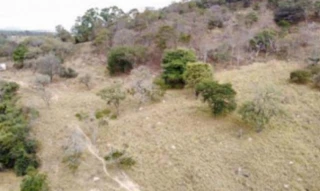 Imóvel 2965843 [''] - ['Fazenda Mangonga, s/n, Gleba C, Carmo do Cajuru, MG, 35510-000, , Carmo do Cajuru/MG'] [''] - ['Carmo Do Cajuru']/['MG'] - 1