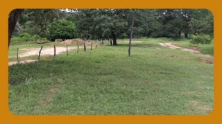 Imóvel 3072243 [''] - ['Fazenda Larga - Catulé e Viadinho - Distrito de São Joaquim - Januária/MG'] [''] - ['Januária']/['MG'] - 1