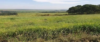 Imóvel 2584443 [''] - ['Venda Branca, Casa Branca'] ['Venda Branca'] - ['Casa Branca']/['SP'] - 1